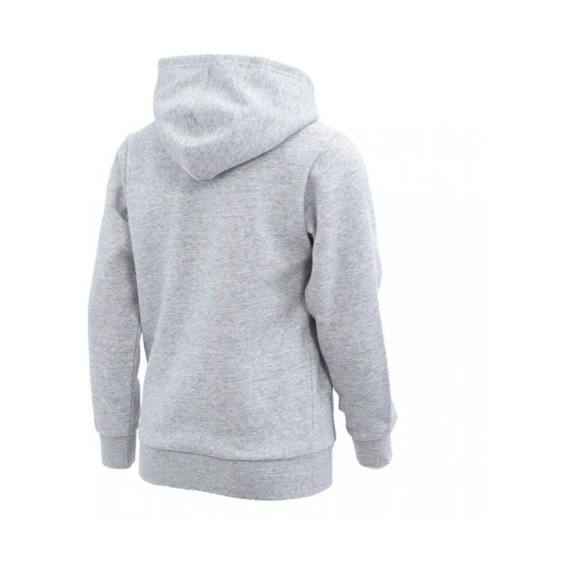 Champion hoodie grey jr.