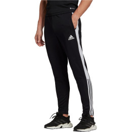Adidas tiro tr pant es black/white